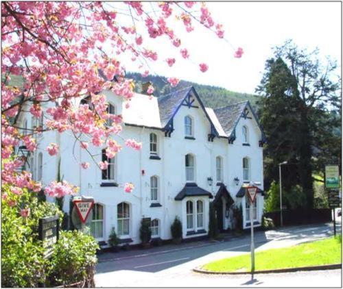 Buckley Arms Hotell Dinas Mawddwy Exteriör bild