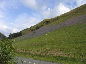 Buckley Arms Hotell Dinas Mawddwy Exteriör bild