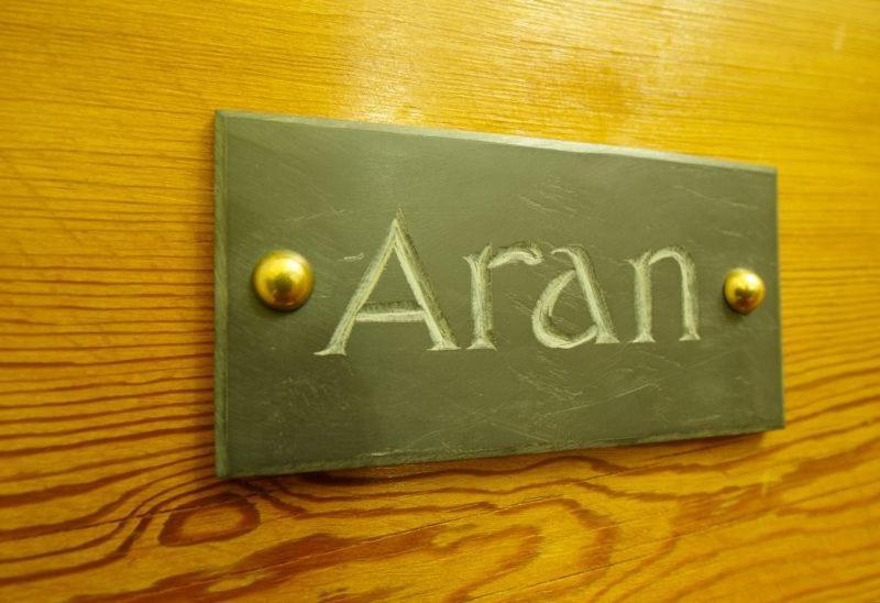 Buckley Arms Hotell Dinas Mawddwy Rum bild